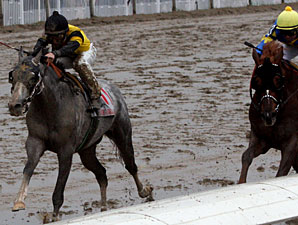 Macho Again Runs 'em Down in NO Handicap Macho Again Runs 'em Down in NO Handicap