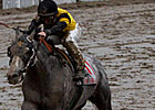 Macho Again Packs Top Weight in Alysheba