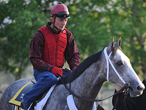 Macho Again Works Toward Belmont Macho Again Works Toward Belmont