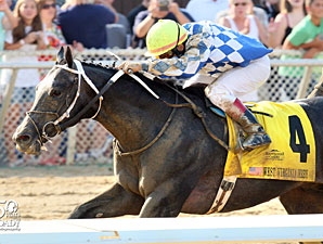 Macho Macho Takes West Virginia Derby Macho Macho Takes West Virginia Derby