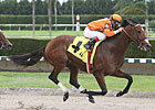 Florida Million Program Set at Calder Florida Million Program Set at Calder