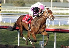 Bad Start No Problem for Madcap Escapade Bad Start No Problem for Madcap Escapade