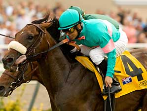 Zenyatta Connections Pulling for Madeo Zenyatta Connections Pulling for Madeo