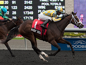 Madly Truly Scores Breakthrough in Mazarine Madly Truly Scores Breakthrough in Mazarine