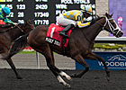 Madly Truly Back on Dirt in Golden Rod Madly Truly Back on Dirt in Golden Rod