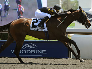 Ward's Madman Diaries Romps to Victoria Win Ward's Madman Diaries Romps to Victoria Win