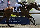 Ward's Madman Diaries Romps to Victoria Win Ward's Madman Diaries Romps to Victoria Win