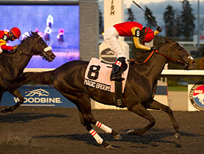 Magic Broomstick Flies to Bessarabian Victory Magic Broomstick Flies to Bessarabian Victory