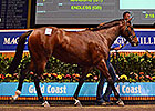 Manduro Filly Tops Day One at Magic Millions Manduro Filly Tops Day One at Magic Millions