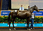 Dam of Champ Star Witness Tops MM Session Dam of Champ Star Witness Tops MM Session