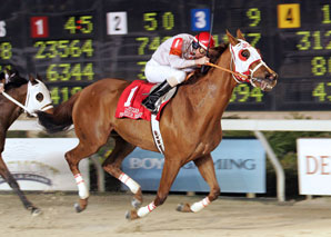 Magic Sunset Scores Premier Feature Magic Sunset Scores Premier Feature
