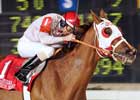 Magic Sunset Scores Premier Feature Magic Sunset Scores Premier Feature