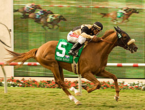 Pedigree is Magic on Turf Pedigree is Magic on Turf