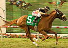 Pedigree is Magic on Turf Pedigree is Magic on Turf