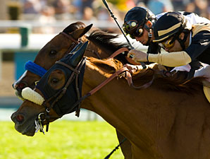 Magical Fantasy Wins 'Barbara Nail-Biter Magical Fantasy Wins 'Barbara Nail-Biter