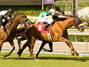 BC-Connected Horses Set to Sell BC-Connected Horses Set to Sell