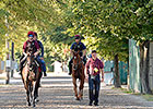 Belisarius Scratched From Secretariat Stakes Belisarius Scratched From Secretariat Stakes