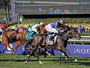 Magician Puts Winning Spell on Turf Field Magician Puts Winning Spell on Turf Field