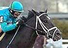 Diamond Stripes, Magna Graduate Duel in Meadowlands Cup