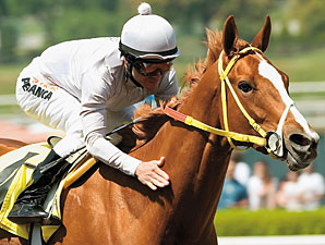 Magnificience to Return to Competition Magnificience to Return to Competition