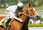Magnificience Looks to Rebound