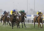 Mahbooba Easy Winner of Balanchine Mahbooba Easy Winner of Balanchine