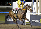 Mahbooba Seeks to Add UAE Oaks to Resume Mahbooba Seeks to Add UAE Oaks to Resume