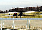 Mahoning Valley Ends Meet With Record Handle Mahoning Valley Ends Meet With Record Handle