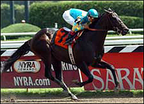 Maimonides to Stand at Vinery in Florida Maimonides to Stand at Vinery in Florida