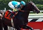 Maimonides to Stand at Vinery in Florida Maimonides to Stand at Vinery in Florida