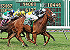 Main Sequence Scores in United Nations Stakes Main Sequence Scores in United Nations Stakes