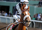 Main Sequence Returns in Mac Diarmida Stakes Main Sequence Returns in Mac Diarmida Stakes
