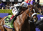 Main Sequence Sews Up Breeders' Cup Turf Main Sequence Sews Up Breeders' Cup Turf