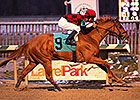 Majestic Affair, Lindisfarne Win at Laurel Majestic Affair, Lindisfarne Win at Laurel