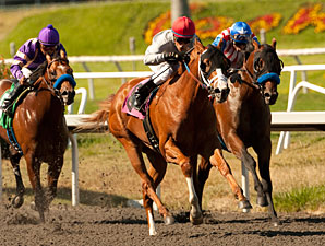 Majestic City Shows Star Power at Hollywood Majestic City Shows Star Power at Hollywood