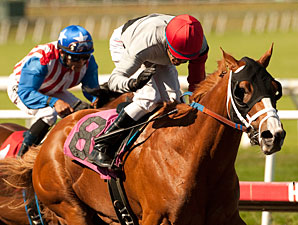 13 Juveniles Set to Go in CashCall Futurity 13 Juveniles Set to Go in CashCall Futurity
