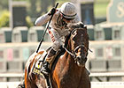Majestic Harbor Shocks Gold Cup Majestic Harbor Shocks Gold Cup