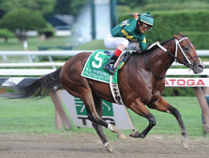 Majesticperfection Retired From Racing Majesticperfection Retired From Racing
