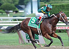 Majesticperfection Retired From Racing Majesticperfection Retired From Racing