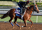 Majestic Presence Primed for Juvenile Fillies Majestic Presence Primed for Juvenile Fillies