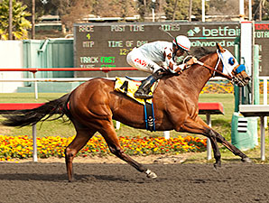 Majestic Stride Too Tough for Underwood Foes Majestic Stride Too Tough for Underwood Foes