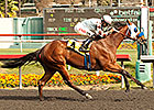 Majestic Stride Too Tough for Underwood Foes Majestic Stride Too Tough for Underwood Foes