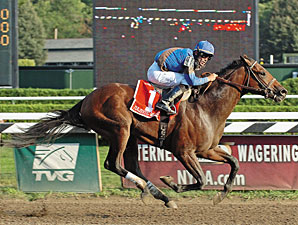 Majestic Warrior Retired to Ashford Majestic Warrior Retired to Ashford