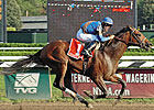 Majestic Warrior Retired to Ashford Majestic Warrior Retired to Ashford