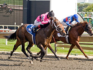 Caleb's Posse Favored in Springboard Mile Caleb's Posse Favored in Springboard Mile