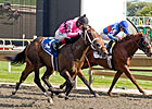 Caleb's Posse Favored in Springboard Mile Caleb's Posse Favored in Springboard Mile