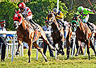 Ramseys' Major Marvel Takes Barbados Gold Cup Ramseys' Major Marvel Takes Barbados Gold Cup