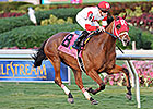 Ramseys' Major Marvel to Run in Barbados Ramseys' Major Marvel to Run in Barbados
