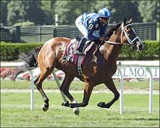 Makderah Can Make Amends in Glens Falls Handicap Makderah Can Make Amends in Glens Falls Handicap
