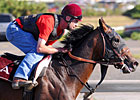 Belmont Doings: Plenty of History to be Made